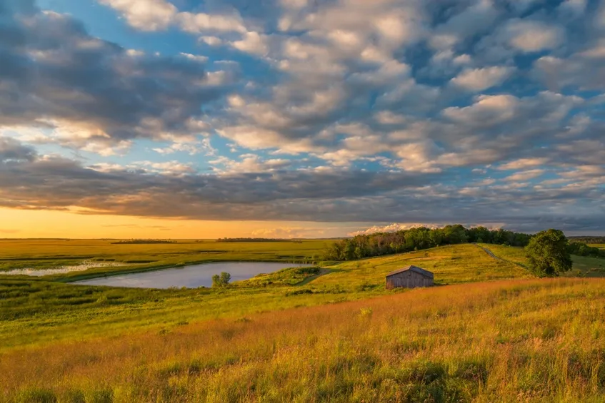 Open farmland under a wide evening sky